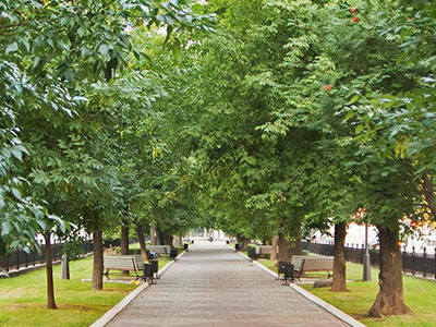 Парки, скверы и улицы